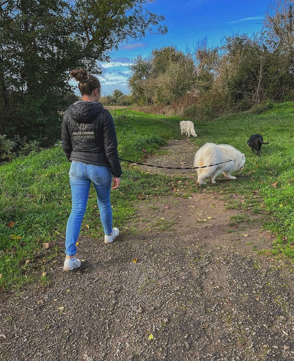 Photo de garde - Halte Canine Normande, photo 1