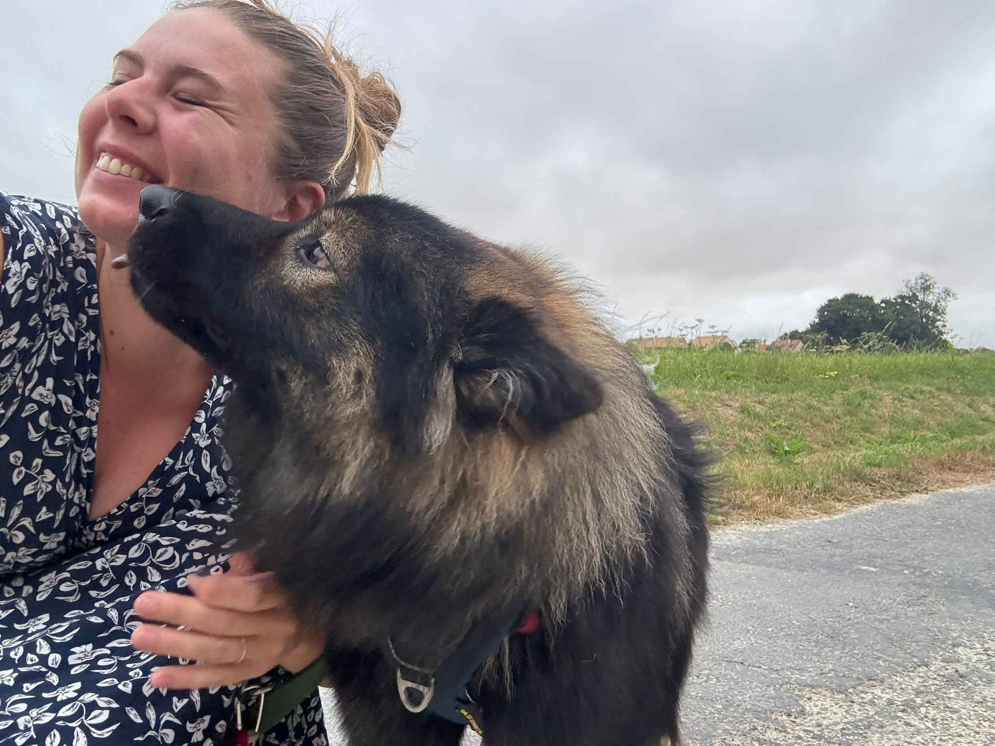 Un chien affectueux avec Marine, Halte Canine Normande